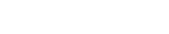 DataWise White Logo